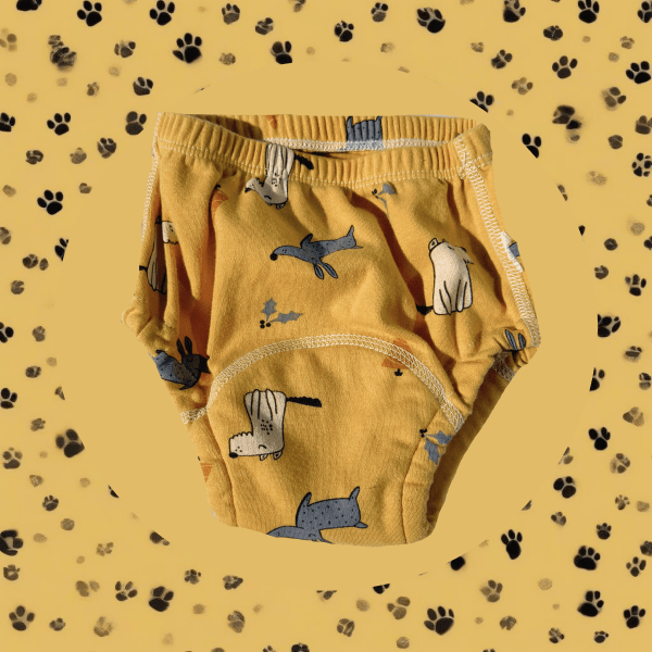 Potty Training Underwear